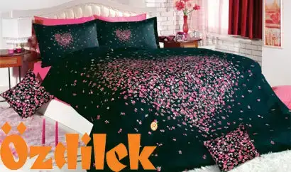 $20120126173409ozdilek45000.webp