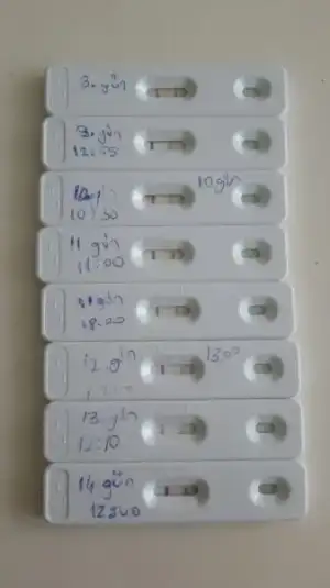 2018-10-02 13.03.27.webp