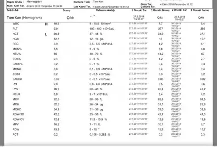 A3E46220-056A-4F4B-BA00-DD8A8E9F06E7.webp