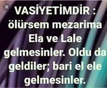 4CDE04D8-B7A8-418F-85A4-1F0870389F3D.webp