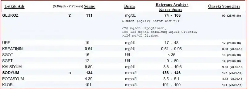 3.webp