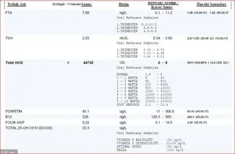 4.webp