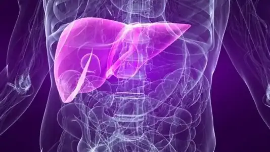 Hepatosteatoz Nedir? Hepatosteatoz Belirtileri Nelerdir?