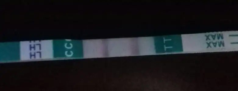 20181109_160935-1.webp
