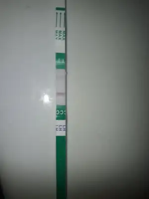 20181116_011834.webp