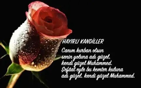 FD685124-8D43-4872-B29E-AA88451D20B6.webp