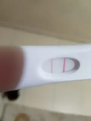 WhatsApp Image 2018-11-21 at 08.21.56.webp