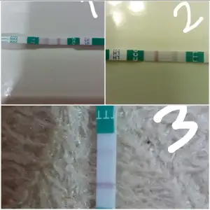 2018-11-22 19.18.43.webp