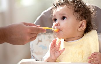 Bebeklerin Aylık Beslenme Menüleri Ve Muhallebi Karışımları