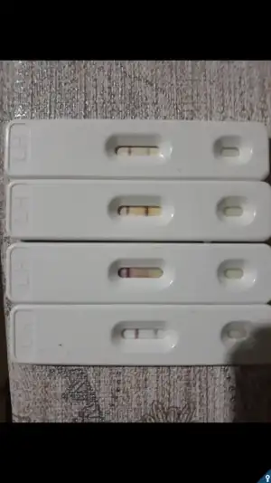 Screenshot_20181125-111952_Gallery.webp
