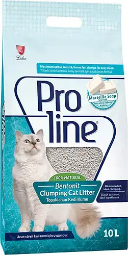 pro.webp pro.webp