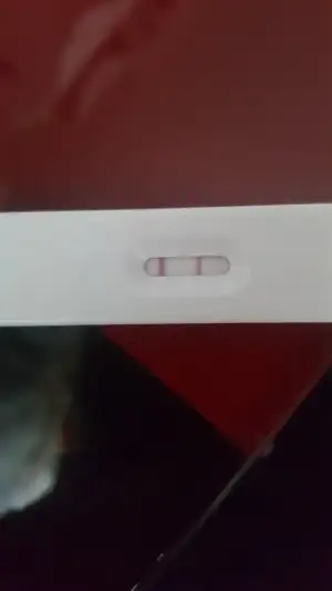 1543398210850465271872.webp
