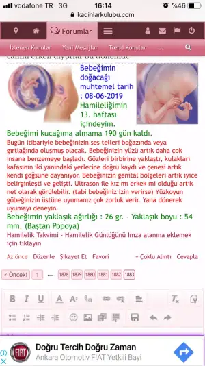 B284E93A-32ED-4AD0-B71A-294DFA4984F3.webp