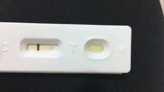 A48FF556-77AE-47FD-96A1-F855A705B95F.webp