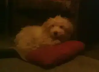 $01022012458.webp