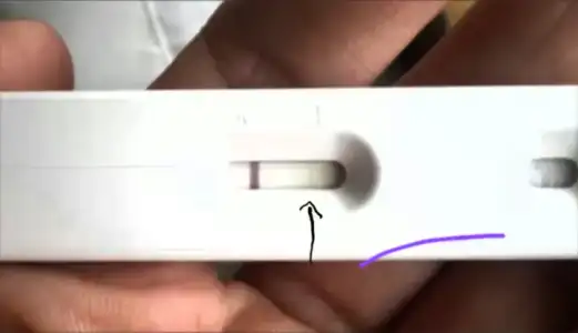 2018-12-08 11.46.42.webp