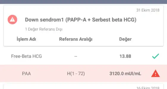 Screenshot_20181211-200813.webp