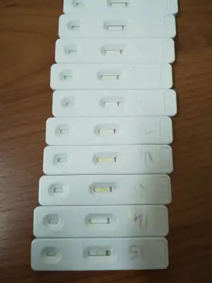 15448877336311360466851.webp