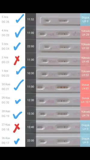 Screenshot_20181217-225556_Gallery.webp
