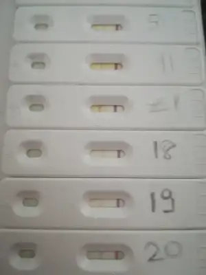 15453045625161343479138.webp