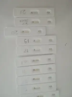 15453833016671962527303.webp