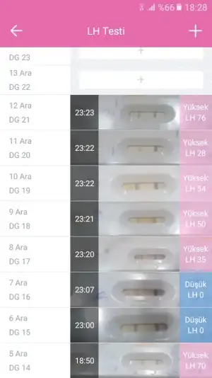 Screenshot_20181221-182840.webp