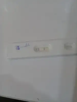 20181224_133833.webp