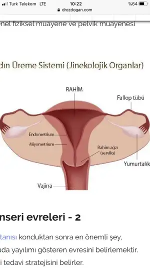 8F738F88-7BCC-4931-AB80-9BBDC8986FE7.webp