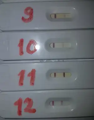 20181228_105608.webp