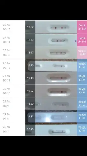 Screenshot_20181228-112422_Photos.webp