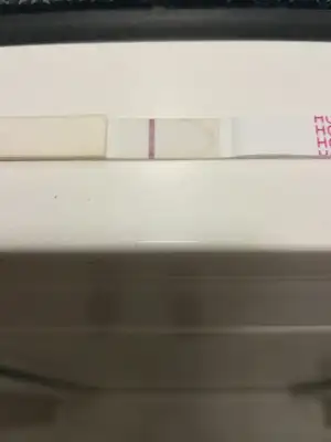 15459941602201782554371.webp