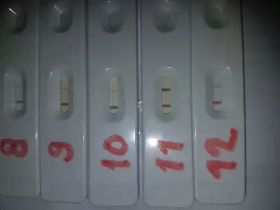 20181228_175654.webp