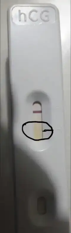 2019-01-09 18.14.59.webp