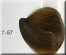 $harmony_7.57.webp
