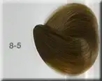 $harmony_8.5.webp