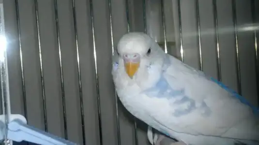 $29122011456.webp
