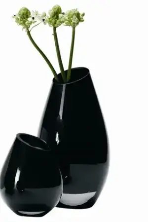 $black-glass-vase.webp