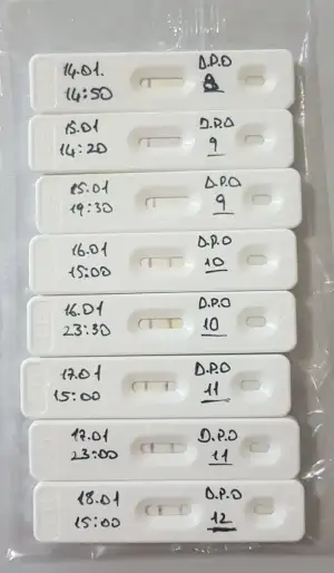 WhatsApp Image 2019-01-18 at 17.11.21 (1).webp