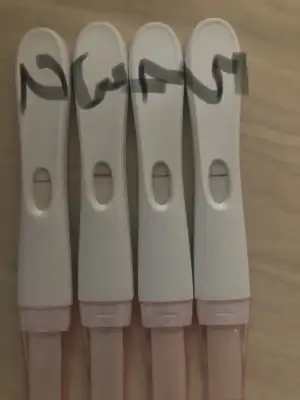 1F933C57-DB33-4830-94D4-73DD1EB05B2E.webp 1F933C57-DB33-4830-94D4-73DD1EB05B2E.webp