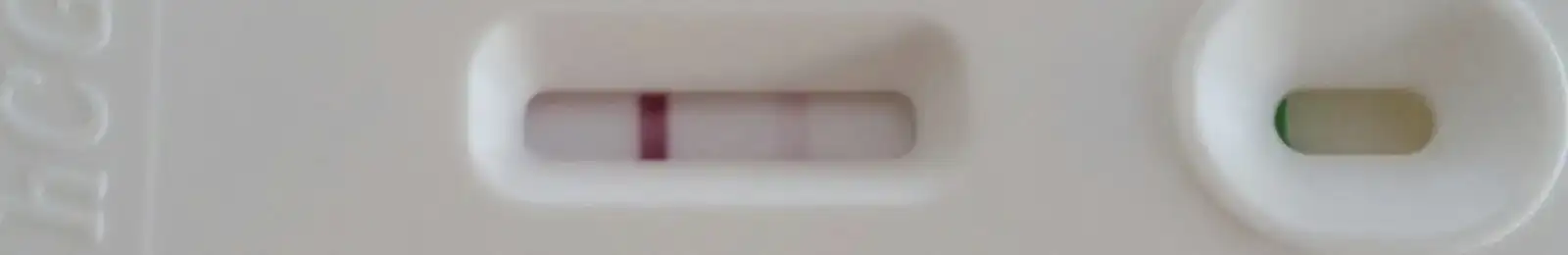 2232196