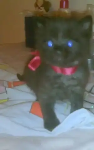 $03102010010.webp