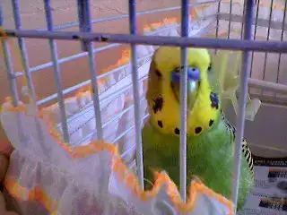 $Photo0455.webp