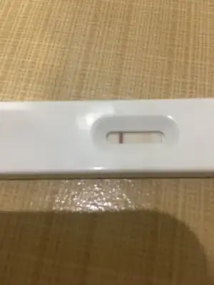 pure mature tube insanların çiftleşmesi vikipedi