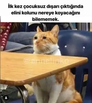 Screenshot_20190214-233710.webp