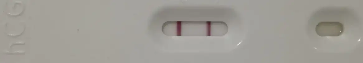 2237589