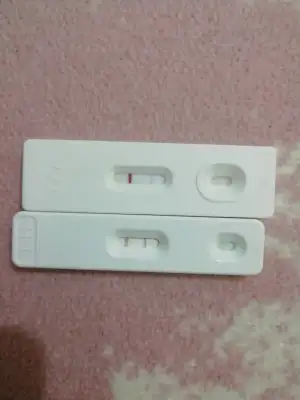 15512005989742830161696122994789.webp