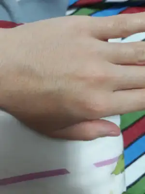 15512057414032045966611302732897.webp