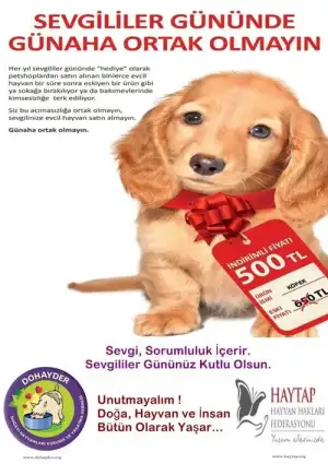 $182845_10150415447755354_387734505353_17353495_384209_n.webp