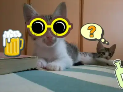 $Foto&#287;raf018.webp