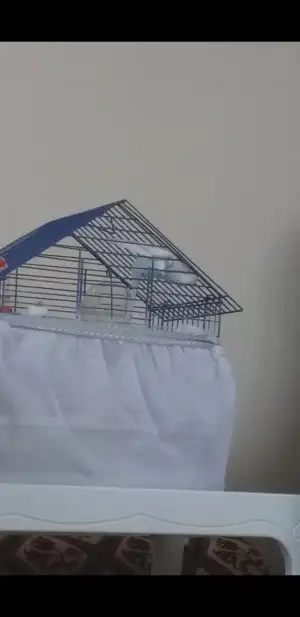 Screenshot_20190312-132855_Video Player.webp